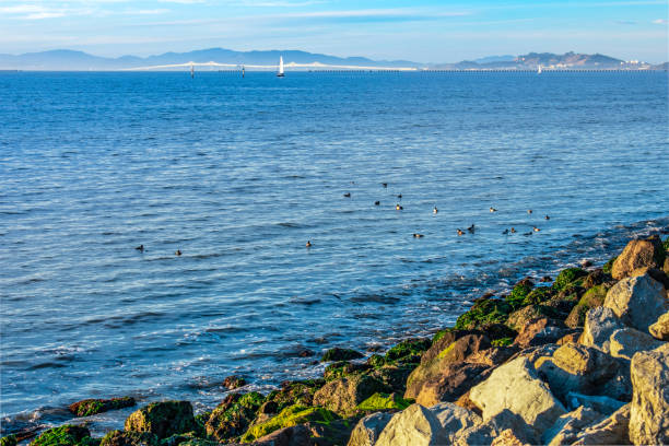 Bay Area ocean view This photo was taken from the city of Emeryville alameda county stock pictures, royalty-free photos & images