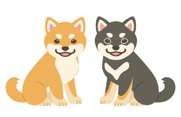 Illustration of red and black haired Shiba Inu Puppies Illustration of red haired and black haired Shiba Inu Puppies sitting side by side shiba inu black and tan stock illustrations