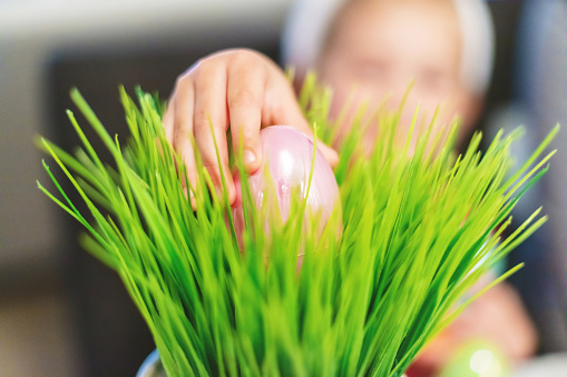 Excited and Happy Female Child and Millennial Mother Preparing Easter Eggs with Candy for Indoor Hunt Fun Matching 4K Video Available (Shot with Canon 5DS 50.6mp photos professionally retouched - Lightroom / Photoshop - original size 5792 x 8688 downsampled as needed for clarity and select focus used for dramatic effect)