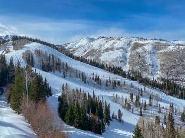 istock Mountain scenic alpine view Utah 1306224342