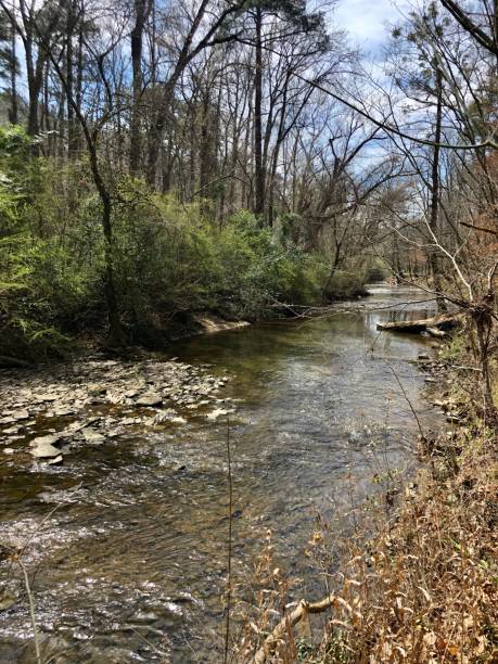 istock Shades Creek as Spring is near 1306224385