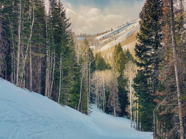Scenic alpine view ski track