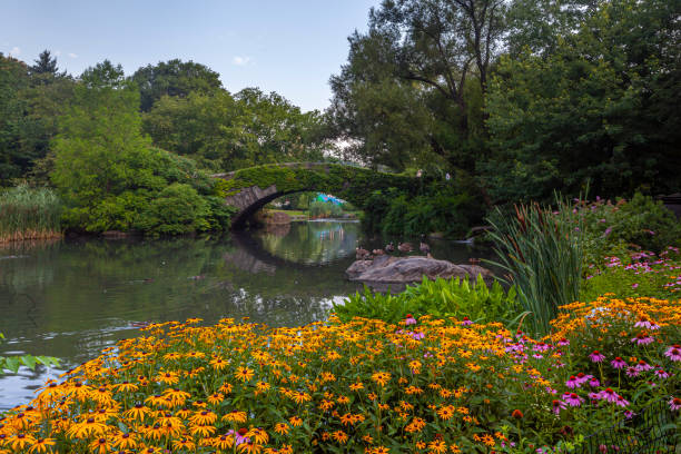 istock Gapstow Bridge in Central Park 1306225158