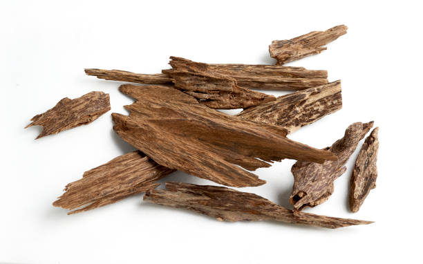 agarwood or agar wood Sticks Of garwood isoalted on white background. The incense chips used by burning it or for arabian oud oil amber stock pictures, royalty-free photos & images