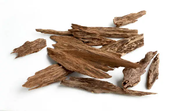 Sticks Of garwood isoalted on white background. The incense chips used by burning it or for arabian oud oil