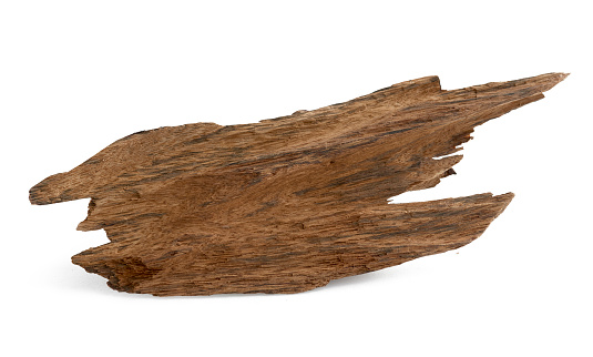 Solid piece of agarwood (Oud) on white background