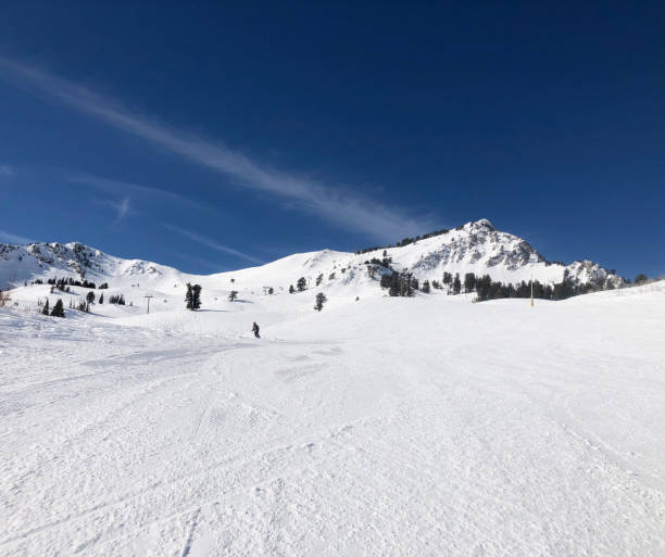 istock Utah Ski Slopes Lone Skiier 1306226823