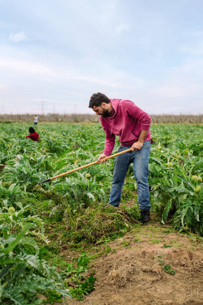 istock farmer working the land in a farm field 1306231856