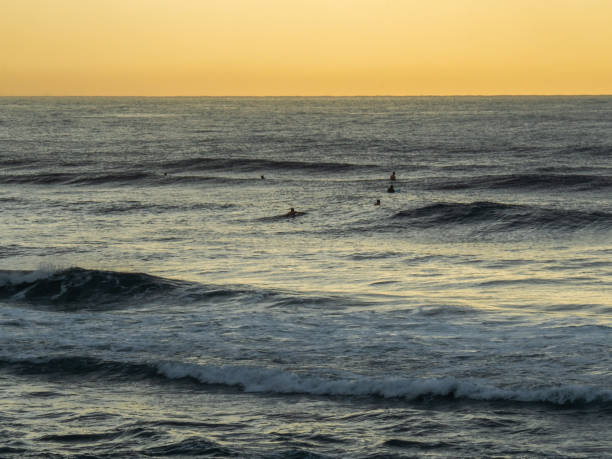 istock Surfers in the sunrise 1306232859