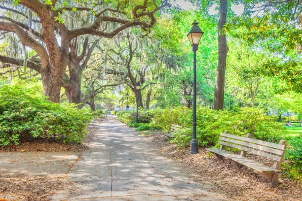 Forsythe Park, a historic public park in downtown Savannah Georgia USA on a sunny day.