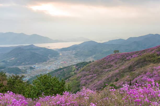 Hwangmaesan, Yeosu Korea