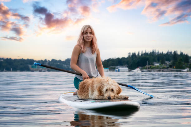 istock Girl with a dog on a paddle board 1306237992