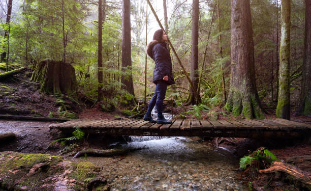 istock Girl Walking on a Mystical Trail in Rain Forest 1306238089