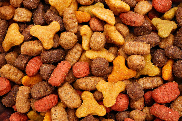 istock macro of pet dry food background 1306238800