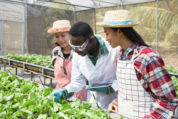 istock Experts are educating farmers about organic vegetable growing. 1306240133