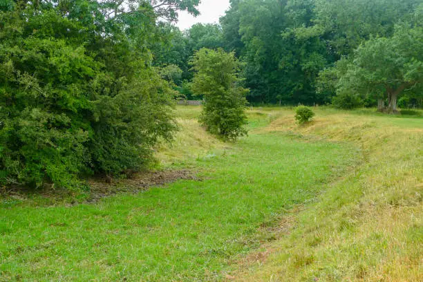 Photo of Dry bed of the Thames