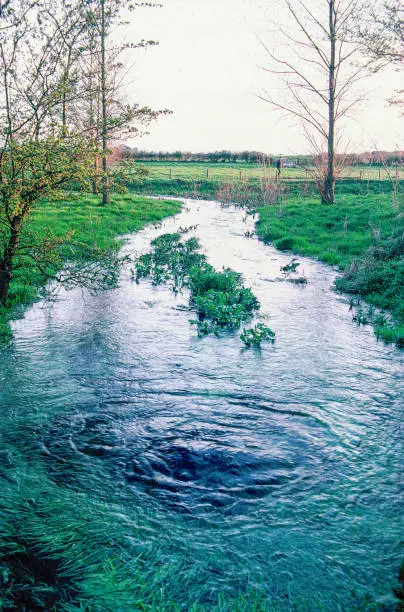Photo of Lyd Well, frequent origin of the Thames