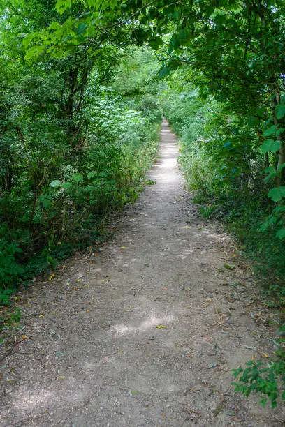 Photo of Country path near Lechlade