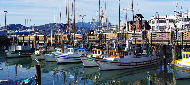 Fishing boats, downtown San Francisco tourism Dec 27tth 2018 United States. Waterfront. Top tourism area of San Fran.