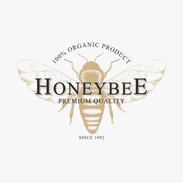 Vector illustration of Vector vintage logo with hand drawn sketch honey bee isolated on white background. Natural organic design concept for emblem, packaging, label, bee farm branding