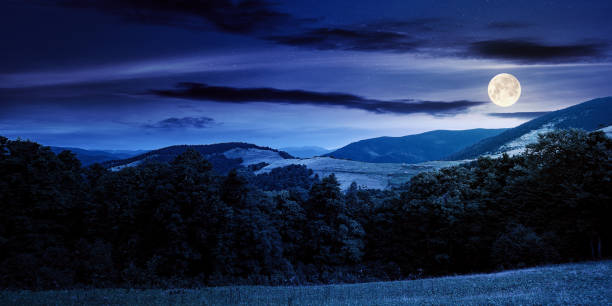 istock summer landscape of carpathian mountains at night 1306248365