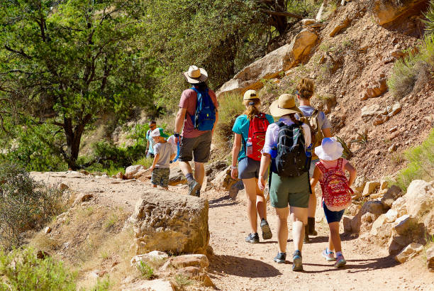 turistas caminan por bright angel trail, gran cañón - group of people journey effort travel destinations fotografías e imágenes de stock