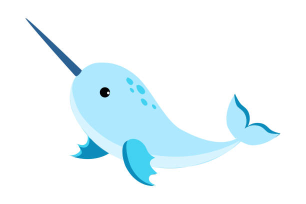 illustrations, cliparts, dessins animés et icônes de narval avec la défense longue comme illustration flottante de vecteur sous-marin d’animal de mer - narval illustrations