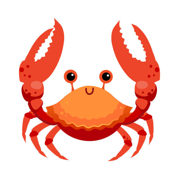 krabbe als meer tier schwimmende unterwasser vektor illustration - krebs stock-grafiken, -clipart, -cartoons und -symbole