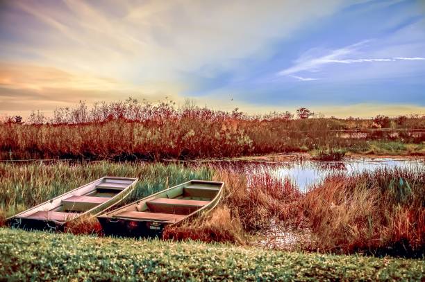 istock row boats on the riverbank 1306254756