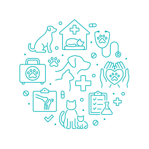 Veterinary clinic green color circle poster with line icons. Vector illustration included icon as cat, kitten, dog, xray, hospital, stethoscope outline pictogram for vet hospital Veterinary clinic green color circle poster with line icons. Vector illustration included icon as cat, kitten, dog, xray, hospital, stethoscope outline pictogram for vet hospital. animal hospital symbol stock illustrations