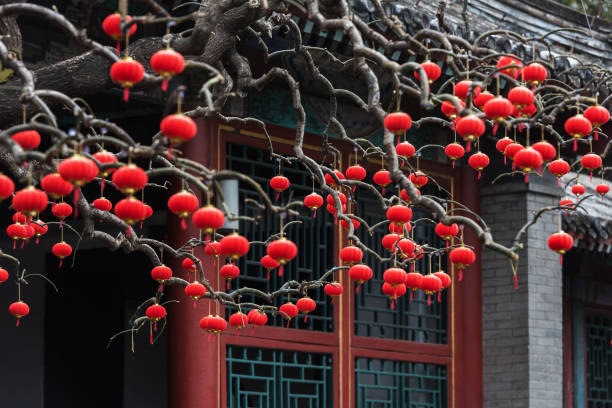 istock Red Chinese lanterns hanging on a branch 1306254862