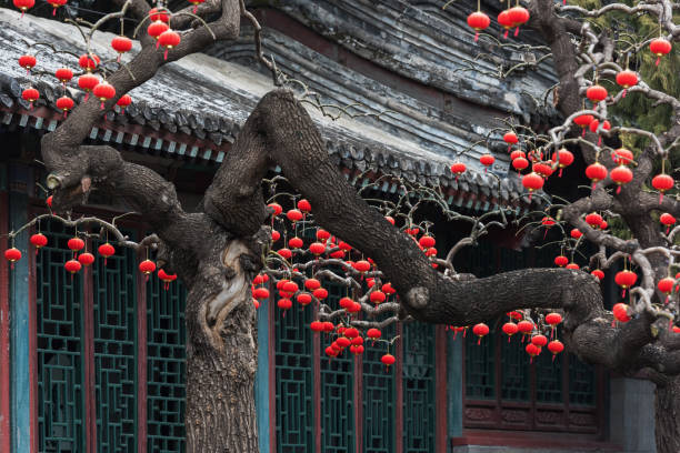 istock Red Chinese lanterns hanging on a branch 1306255696