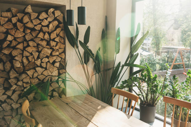 istock Houseplants next to the window 1306261809