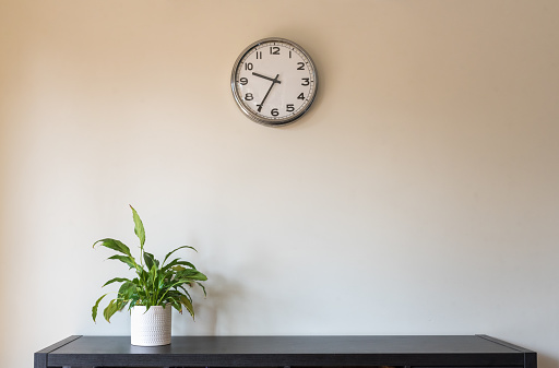 Pot plant on black shelf against beige wall with clock (selective focus)
