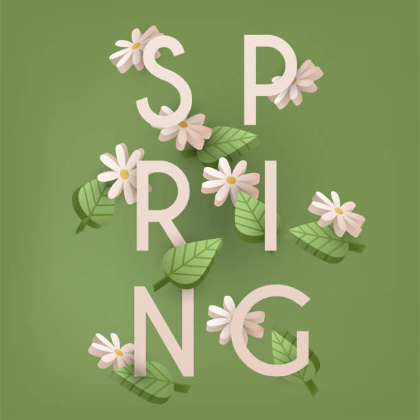 ilustraciones, imágenes clip art, dibujos animados e iconos de stock de diseño gráfico de primavera floral - con flores de margarita. - chamomile entertainment nature leaf