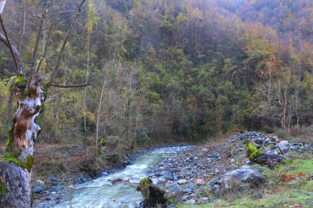 istock Waterfall in Bursa in Turkey 1306267167