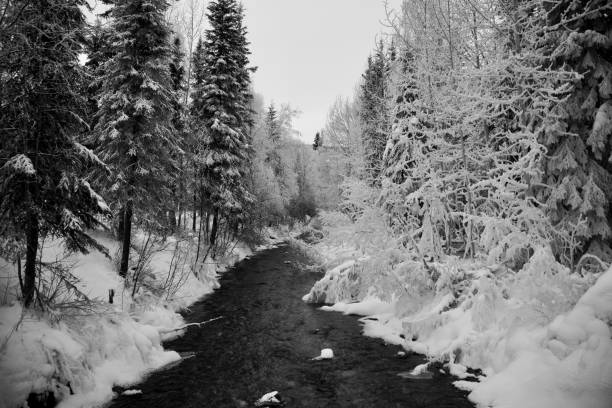 istock Alaska Landscape river horizontal Black and White 1306267214