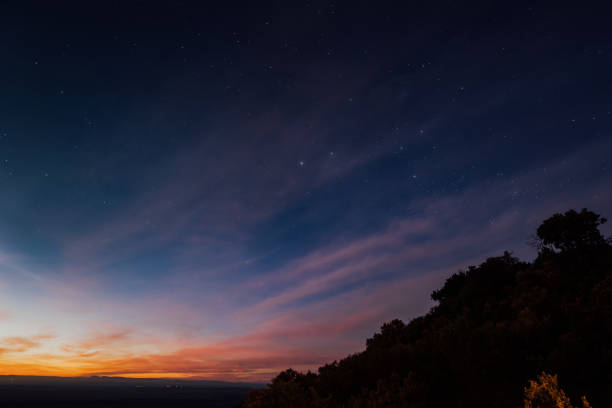istock Maasai Mara under the Stars 1306269698