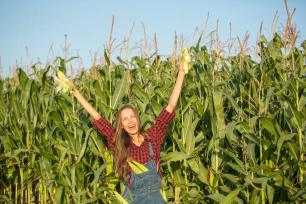 istock Female farmer or gardener holding her crop fresh vegetable 1306270280