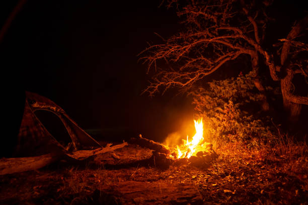 istock Bonfire near the tent at night 1306274892
