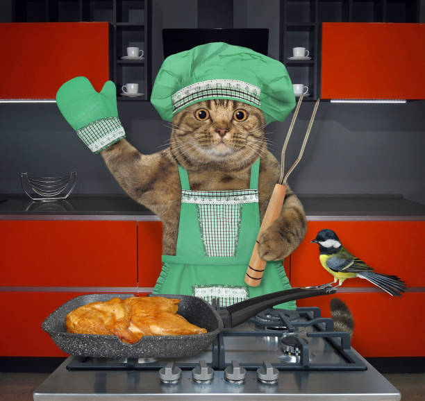 istock Cat cooks chicken on gas stove 2 1306275820