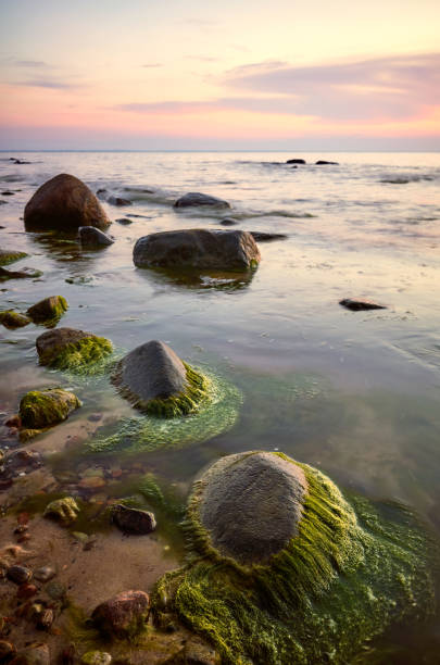 istock Rocky beach at a beautiful sunset. 1306276309