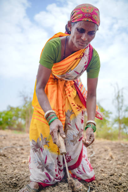 istock Indian lady working at field 1306276329