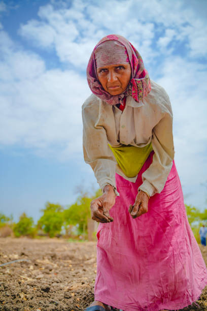istock Indian lady working at field 1306276340