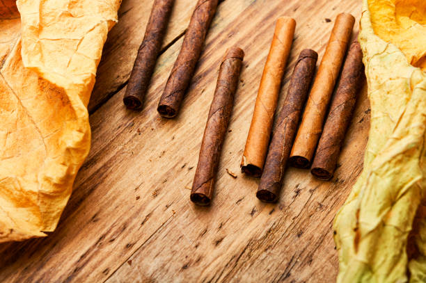 group cigars and tobacco leaves - cigarette wrapping imagens e fotografias de stock