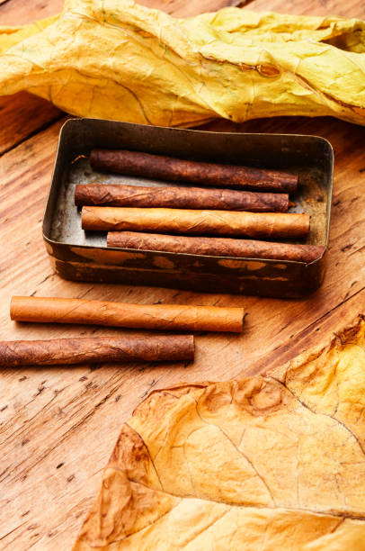 istock Group cigars and tobacco leaves 1306277487