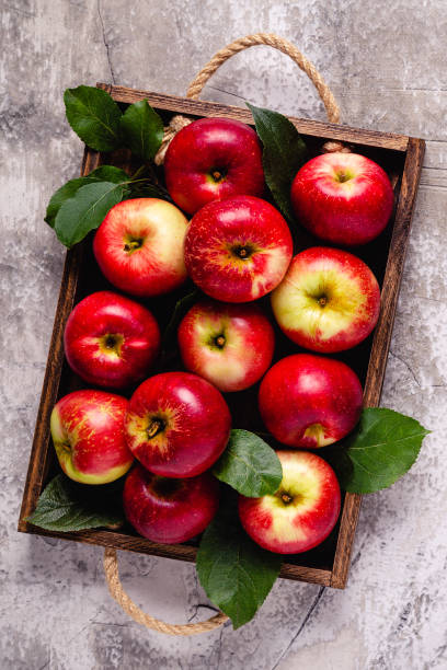 istock Ripe red apples in wooden box. 1306283204