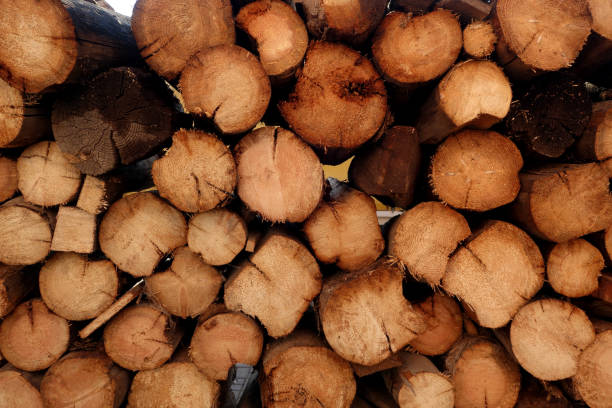 istock Pile of firewood. 1306283223