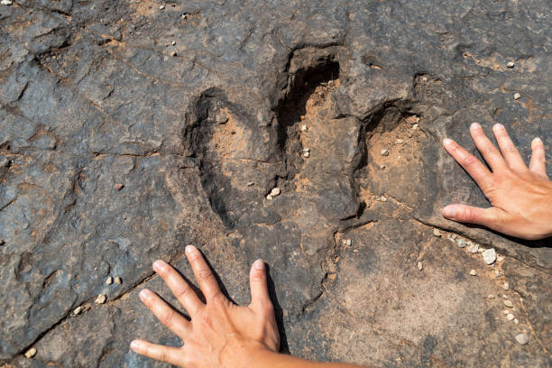 istock Dinosaur footprint: paleontologist at work in South West USA 1306284252