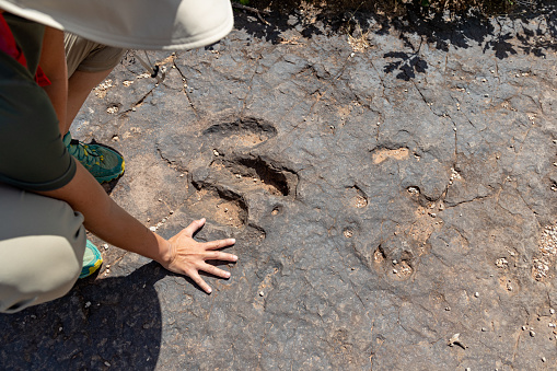 Dinosaur footprint: woman paleontologist at work in South West USA